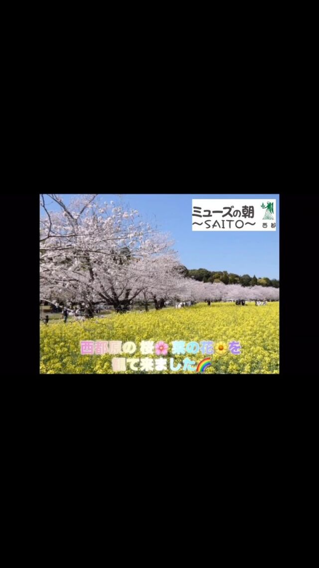 こんにちは。
ミューズの朝西都です☀

西都原古墳群は、たくさんの菜の花・桜が競演する絶景スポット！

ですが、ご利用者さまとゆっくりとお花見するには難しい盛況具合であったため、
近くの桜スポットに🌸

程よい木漏れ日のなか、ゆったりとした時間を過ごすことができました✨

#住宅型有料老人ホーム #デイサービス
#宮崎県 #西都市 #ミューズの朝西都
#西都原の菜の花 #西都原 #菜の花 #桜