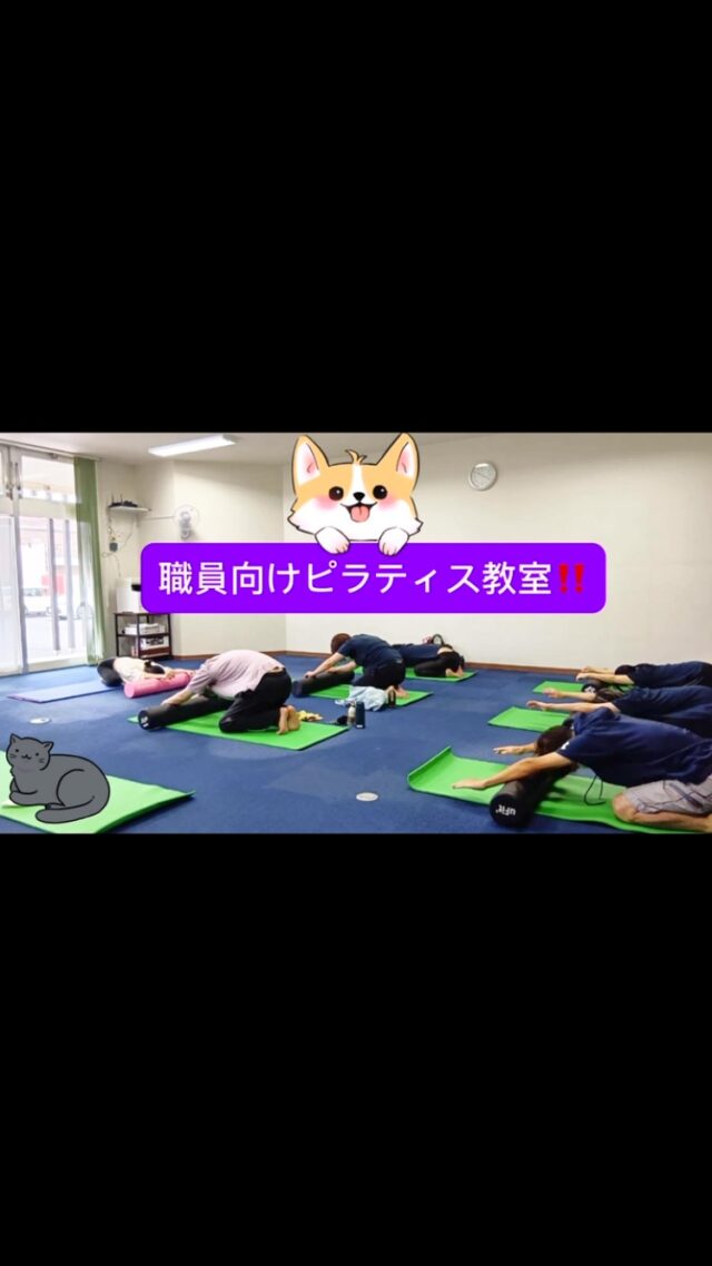 こんにちは!!
ミューズの朝志比田です☀

Studio Ohana（スタジオ オハナ）様を講師に迎え、
当会の保養施設『都城文化施設ミューズ』にて、
ストレッチポールのグループレッスンを開催いただきました！

今回もストレッチポールを取り入れたピラティスをレクチャーいただき、
参加者一同、リフレッシュさせていただきました✨

『ピラティス』『ストレッチポール』など、
福利厚生出張サービスにご興味の方は、
Studio Ohana様のInstagram @studio._.ohana まで是非✨
(都城工業高校のすぐ横です🏫)

Studio Ohana 様、出張講師を引き受けていただき、
いつもありがとうございます👏👏👏

#鍼灸整骨院 #ピラティス #ストレッチポール #整骨院 #都城工業高校
#宮崎の介護 #都城のピラティス #職員の健康
#働きやすい環境づくり #職員の健康 #2025春
#クラブ活動 #イベント活動 #痛気持ちいい #イタギモ
#福利厚生 #リフレッシュ #保養施設のある職場
#Well-being #ウェルビーイング #報謝会
#モチベーションアップ #パフォーマンス向上