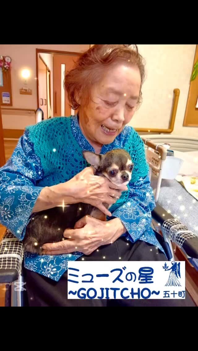 こんにちは。
ミューズの星五十町です。

職員がアニマルセラピーになればと、
ペットのワンちゃん：天音(あまね)ちゃん を連れてこられました🐶

とても人なれしていて、たくさんのご利用者さまに抱っこいただいておりました💕💕

ご利用者さまは皆さま"かわいいね"と、順番を心待ちにしているご様子で、
触れ合う"癒しの時間"に、大層喜ばれておりました✨♡

#報謝会 #宮崎の介護施設 #都城の介護施設
#老人短期入所施設 #ショートステイ
#ミューズの星五十町 #介護のご相談はお気軽に
#アニマルセラピー #かわいい #癒し