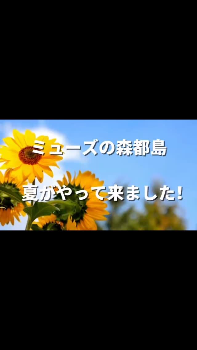 こんにちは。

花壇に植えたひまわり・あさがおも、きれいに咲き
ミューズの森都島にも夏到来です🌳🌳🌳☀

立派なトマトや、ひび割れのため早めに収穫したスイカを
ご利用者さまと一緒に楽しんでおります🍅🍉♪

武春さま、今年も農園を毎日欠かさず管理してくださり、
ありがとうございます💕💕💕

ひび割れせずにスイカが育ったら、
ぜひスイカ割りしたいと心待ちしている今日この頃です✨✨

#あさがお #MorningGlory #愛情 #結束 #明日もさわやかに
#ひまわり #Sunflower #あなたを見つめる #憧れ #情熱
#MrsGREENAPPLE #青と夏
#生きがい #楽しみ #報謝会
#宮崎の介護施設 #都城の介護施設 
#介護付有料老人ホーム #ミューズの森都島
#新燃岳 #桜島 #降灰