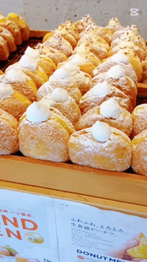 🍩✨今話題の #生ドーナツ 食べました♪✨🍩

6月28日に「ミューズの星新別府町」の横にオープンした大人気の生ドーナツ専門店
「TRUFFLE DONUT 一ッ葉店」さんのドーナツを、ご利用者さまと一緒にいただきました！

「甘くておいしいね〜😋」
と笑顔で話しながら食べる方、
夢中で黙々と味わう方…

あっという間に完食されて、みんな笑顔いっぱいの時間になりました✨

地域の人気店の味をみんなで楽しめる時間は何気ないようで、すごく大切な時間。

またみんなで美味しいものを食べたいですね☺️

#TRUFFLEDONUT #トリュフドーナツ #生ドーナツ #宮崎グルメ  #宮崎スイーツ #地域密着 #介護施設の日常 #笑顔の時間#介護の魅力 #新規オープン #話題のお店 #宮崎の介護施設 #おやつ時間#ミューズの星新別府町#報謝会