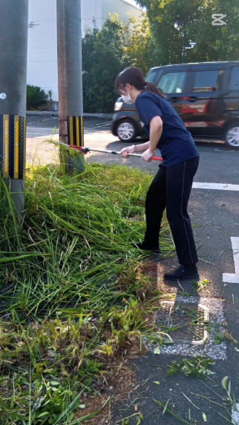 🌿地域をきれいに！みんなで朝活✨

8月29日 朝7:30より、10名のメンバーで、宮崎市新別府町周辺の清掃活動を行いました🧹🌱

ゴミを拾ったり、草を刈ったりしながら少し涼しい朝の空気の中、気持ちよく活動できました😊

「街がきれいになると気持ちまでスッキリ！」

小さな一歩ですが、地域に笑顔の輪が広がれば嬉しいです🌸

👉これからも継続して活動していきます！

#報謝会 #地域清掃 #地域貢献 #草刈り #朝活 #地域のつながり #新別府町 #宮崎の介護施設 #介護の魅力発信 #笑顔の輪#ミューズの星新別府町