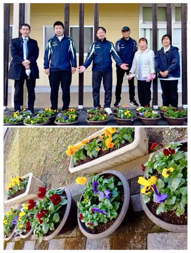 【お花の贈呈の準備】

こんにちは☀

報謝会の都城地区では、地域の皆さまとの交流を深めるべく、
幼稚園さま・保育園さまに寄せ植えしたお花の贈呈を計画しております😎✨

当会の保養施設：都城健康文化施設ミューズにて、
丹精込めてプランターにお花を寄せ植えしました🌸🌺🌸

これより各施設に持ち帰り、
まずは１ヶ月ほど水やり等のお世話をいたします🌼

毎日の寒さに耐え綺麗な花がたくさんになったところで
各施設近隣の幼稚園さま・保育園さまに贈呈する計画です😎✨

寄せ植えにご参加のみなさま、
水やりしてくださるご利用者のみなさま、
ご協力ありがとうございます😊

#CSR #SDGs #寄せ植え #贈呈
#報謝会 #報謝会都城地区 
#虹平塚 #空庄内 #森都島 #星五十町 
#朝志比田 #朝栄町 #朝三股
#2025冬 #ほのぼの