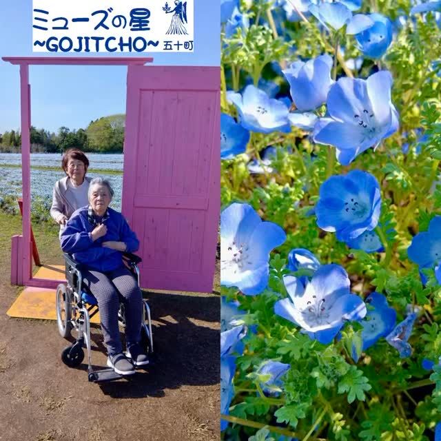 【ネモフィラのお花見🌼】
こんにちは。
ミューズの星五十町です🌟

春らしく穏やかな気候に心和む季節となりました✨

"ネモフィラ" 3万㎡が見ごろを迎えたとのことで、
下長飯町の『南部ふれあい広場』の花畑に、
ご利用者さまと春のお花見に参りました。

お花畑では、ネモフィラが満開で一面の青いじゅうたんを作り出し、
一瞬で春を感じられる光景に、皆様感動されていらっしゃいました。

多くの観光の方々も訪れており、広い敷地にも関わらず
大変賑わった雰囲気も感じられました。

お花畑内には、フォトスポットも数カ所あり、
すっかり観光気分を味わうことができ、
ご利用者さまは大変満足されておられました。

夏には向日葵🌻、秋には秋桜が楽しめるようなので
また次回の企画を皆さんお楽しみにしていて下さいね😊

#下長飯町 #南部ふれあい広場 #ネモフィラ
#可憐 #どこでも成功 #あなたを許す #清々しい心
#ミューズの星五十町 #ショートステイ
#老人短期入所施設 #都城市五十市
#報謝会 #天孫降臨 #福祉 #介護