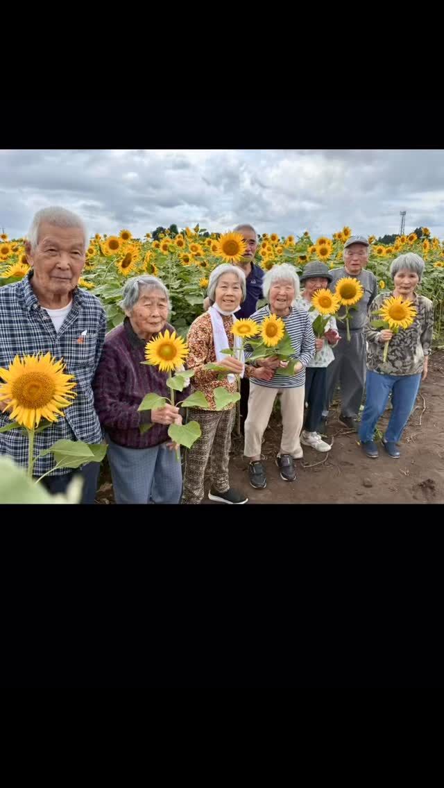 こんにちは、ミューズの空高崎です🌻🌻

先日、ご利用者さまと一緒に、ひまわりを見に行ってきました！

一面に広がる黄色い絨毯と、皆さんの弾けるような笑顔で、
夏のエネルギーをたっぷりチャージ💪💛

「やっぱりお出かけは楽しいね」と大好評のドライブになりました🚗

暑さに負けず、今週も元気に過ごしましょう！

#夏全開 #笑顔の瞬間 #お散歩日記 #福祉